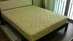 Hundred Trees (D5), Condominium #504364831